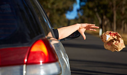 Litter thrown from a motor vehicle.